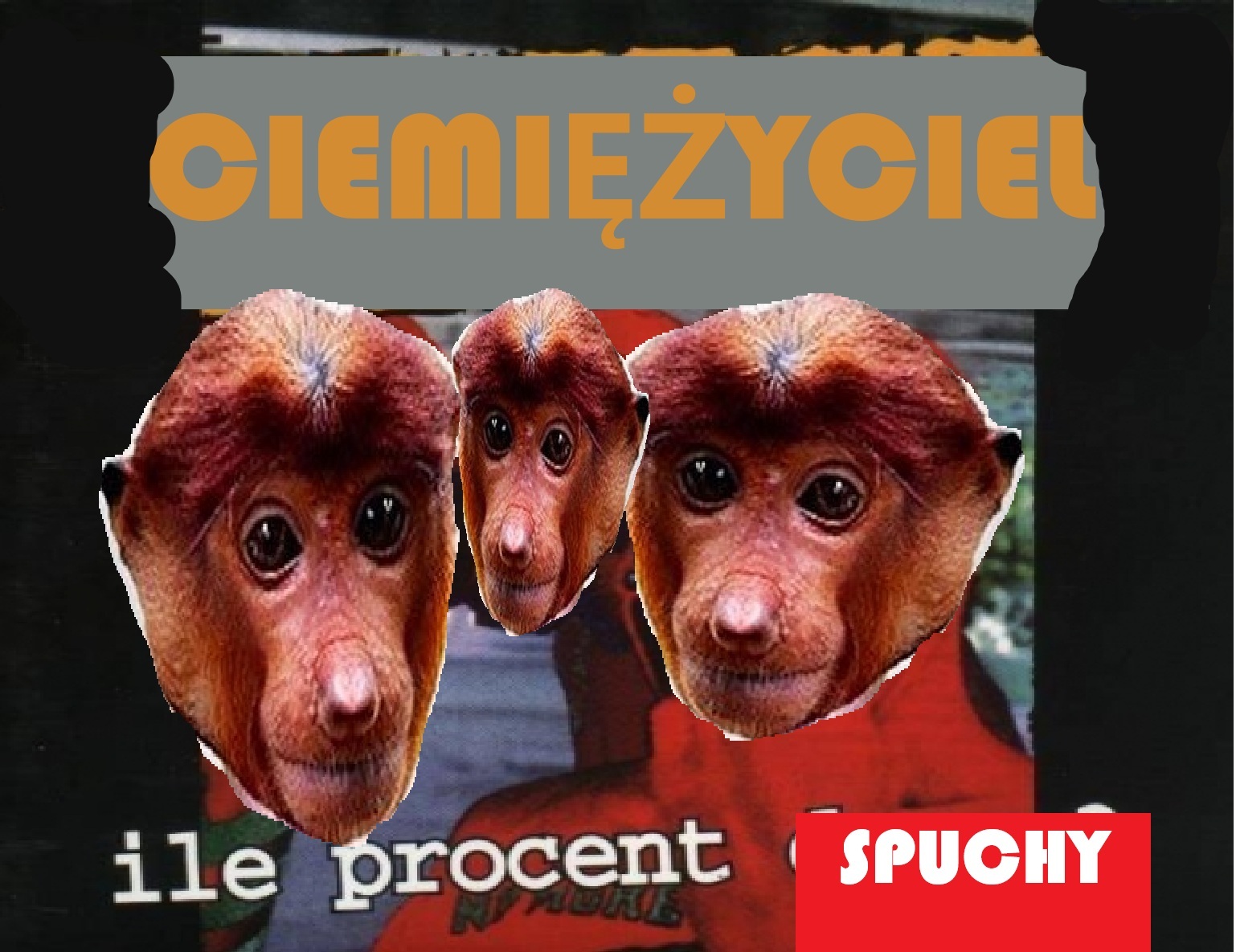 Dzieło sztuki #13783
