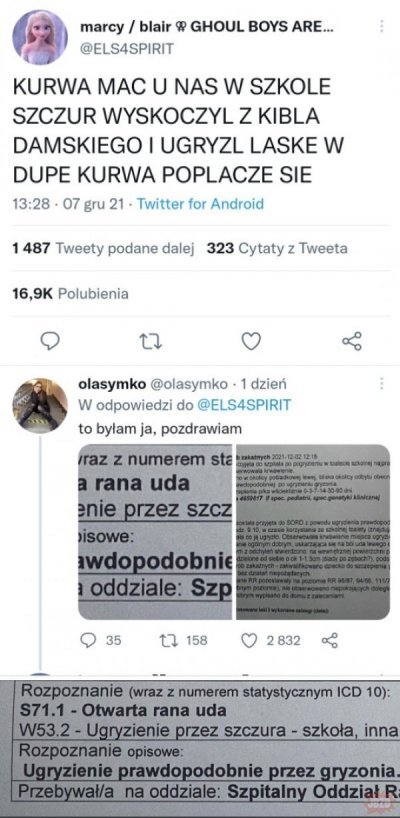 Dzieło sztuki #13788