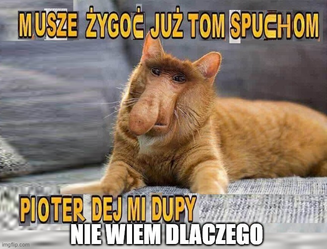 Dzieło sztuki #13799
