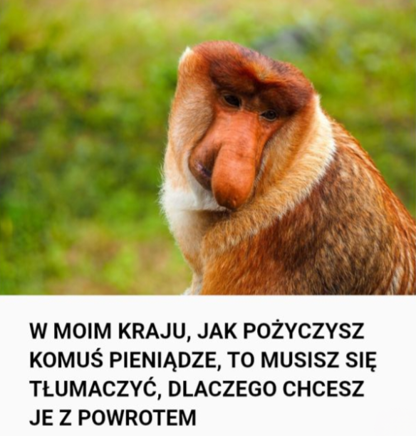 Dzieło sztuki #13811