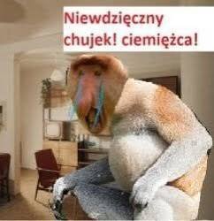 Dzieło sztuki #13816