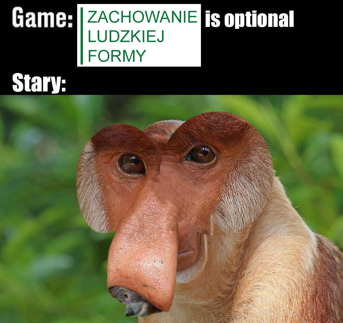 Dzieło sztuki #13843