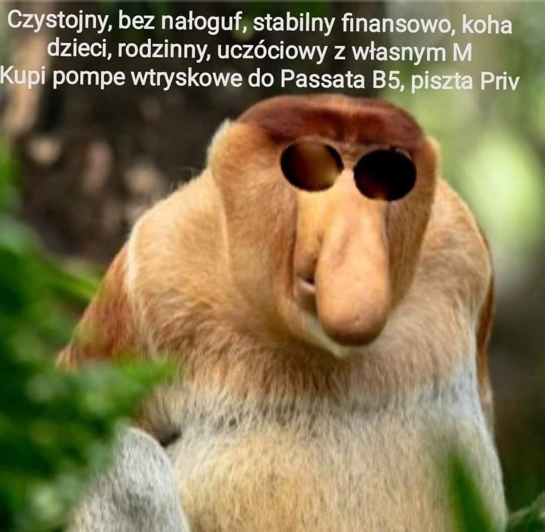 Dzieło sztuki #13850