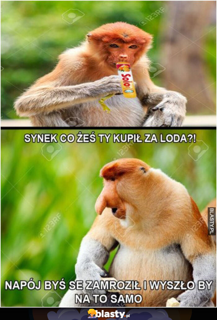 Dzieło sztuki #13856