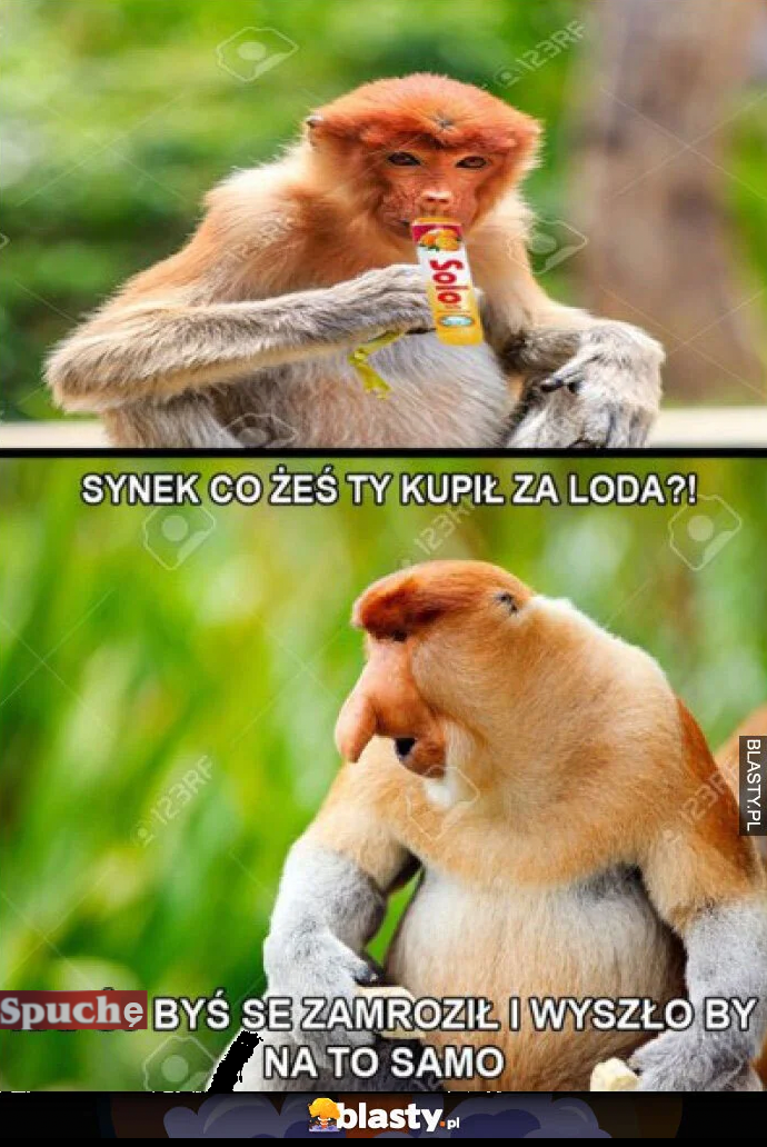 Dzieło sztuki #13866