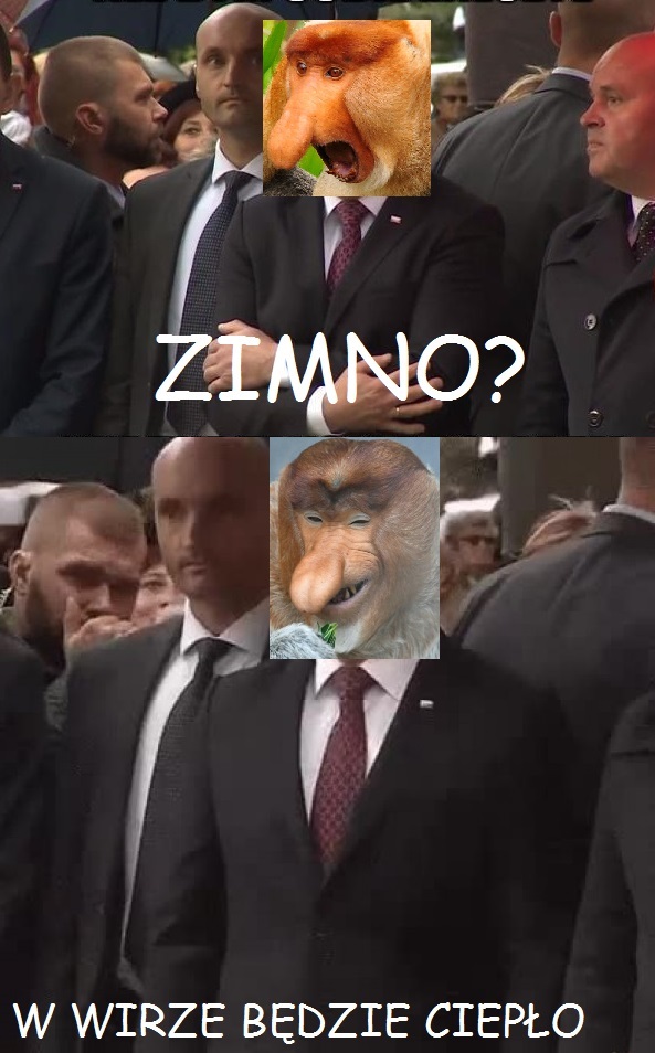 Dzieło sztuki #13883