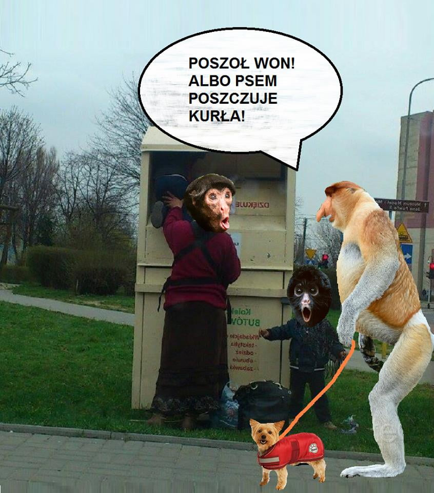 Dzieło sztuki #13890