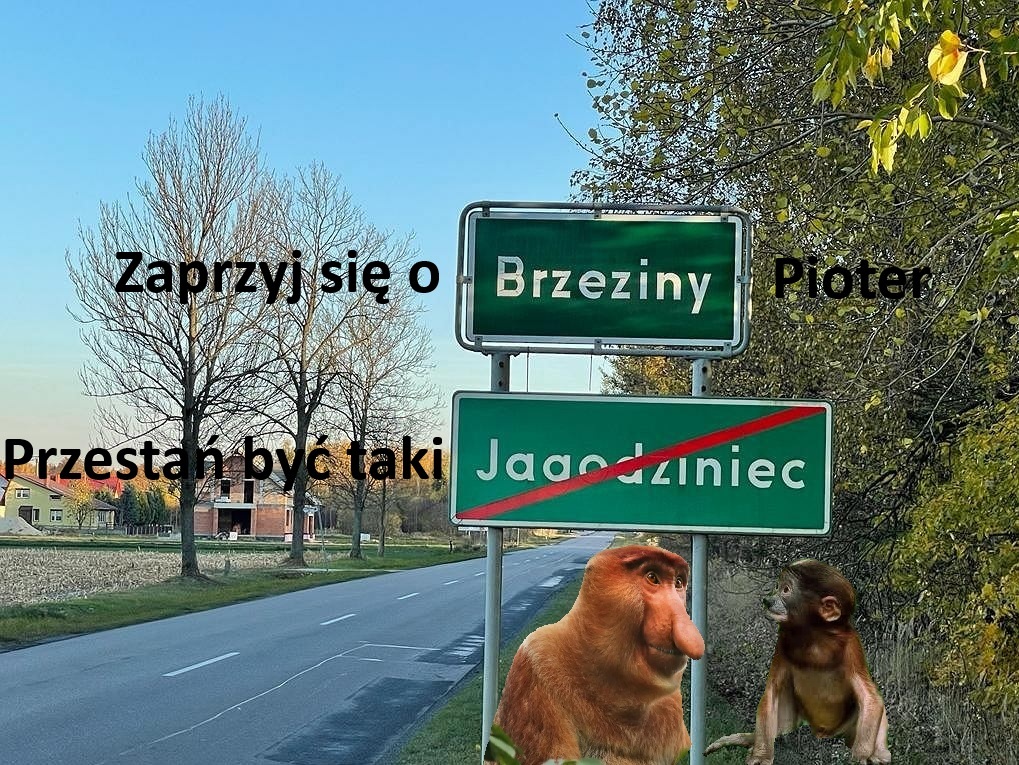 Dzieło sztuki #13900