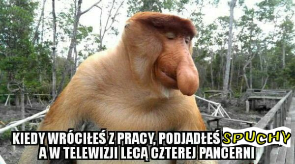 Dzieło sztuki #13901