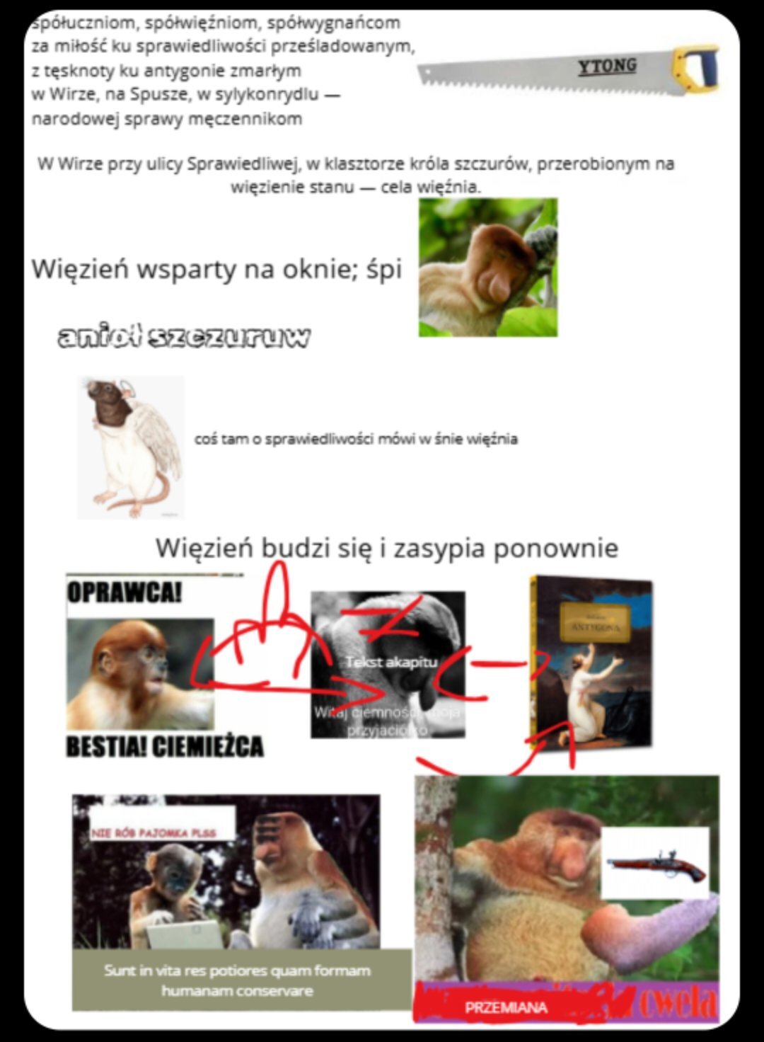 Dzieło sztuki #13908