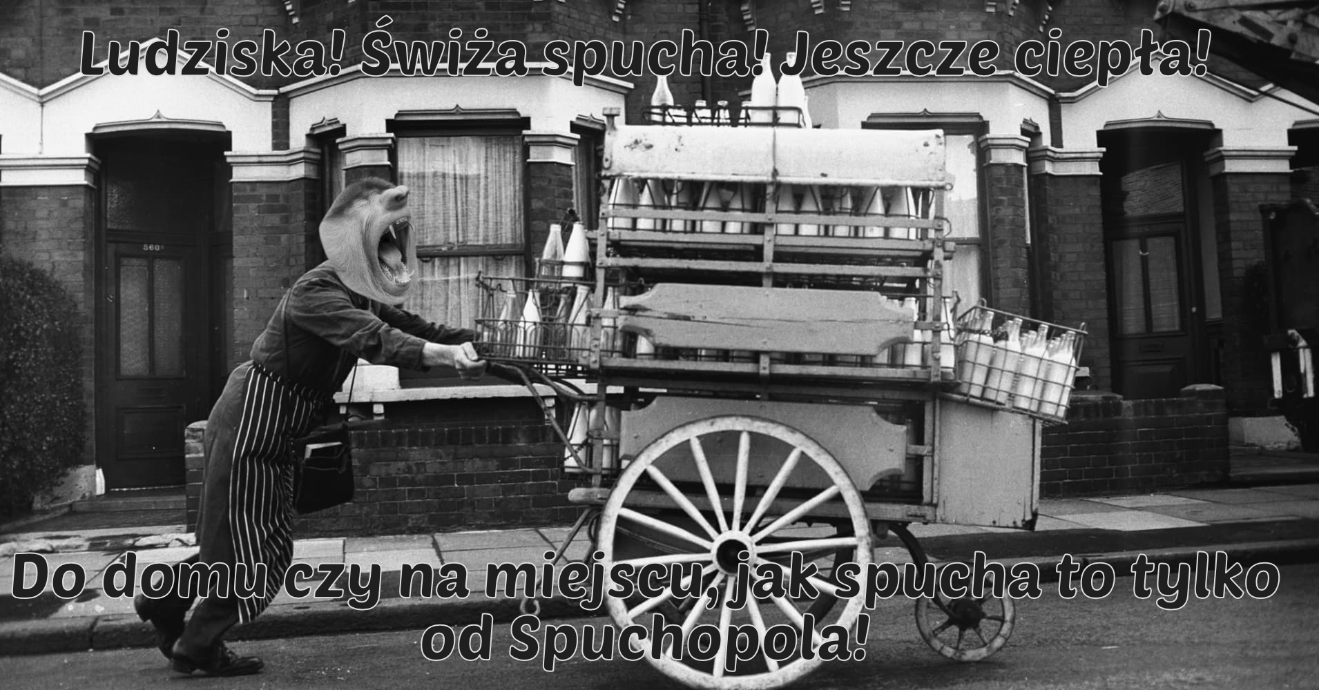 Dzieło sztuki #13912