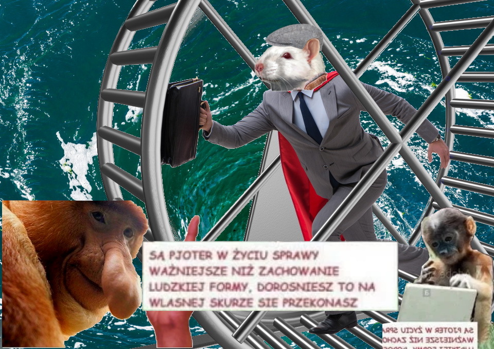 Dzieło sztuki #13913