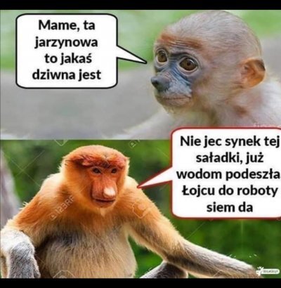Dzieło sztuki #13914