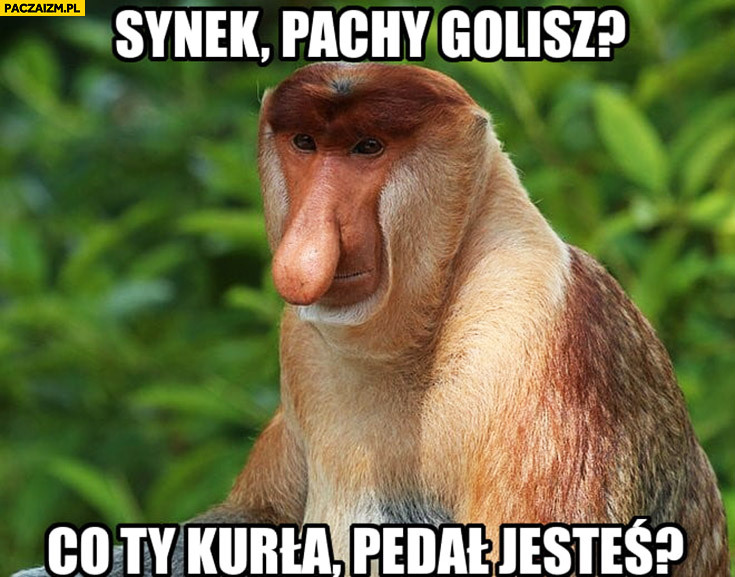Dzieło sztuki #13927
