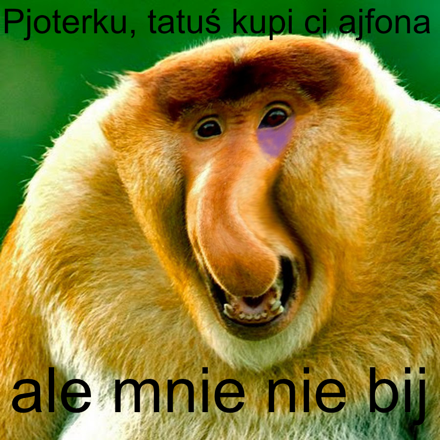 Dzieło sztuki #13937