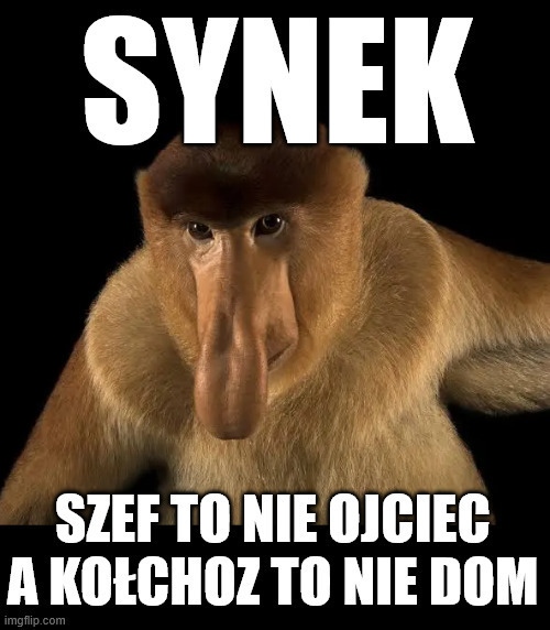 Dzieło sztuki #13962