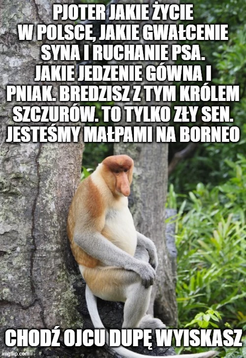 Dzieło sztuki #13970