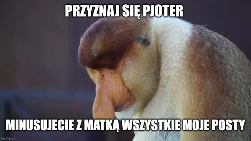 Dzieło sztuki #13972