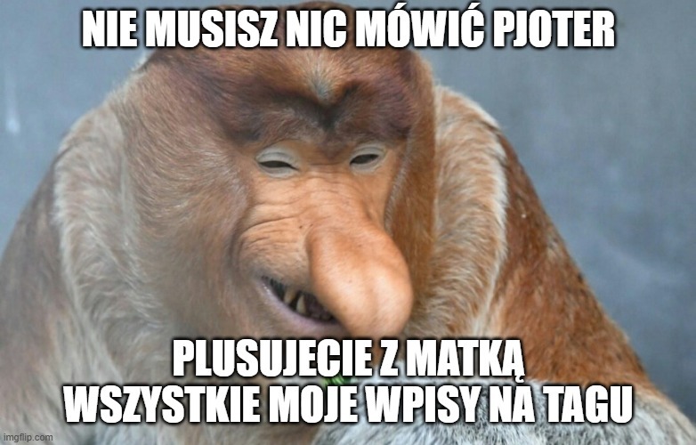 Dzieło sztuki #13978