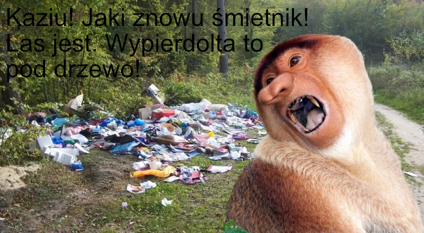 Dzieło sztuki #13985