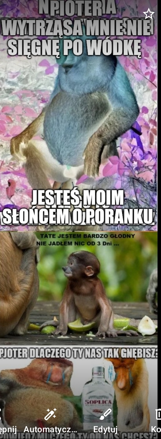 Dzieło sztuki #13986