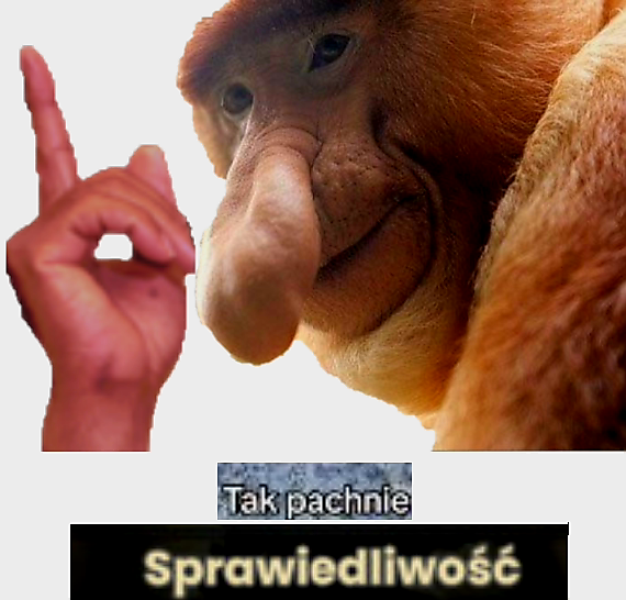 Dzieło sztuki #13989