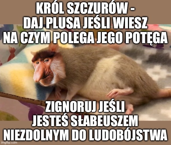 Dzieło sztuki #14007