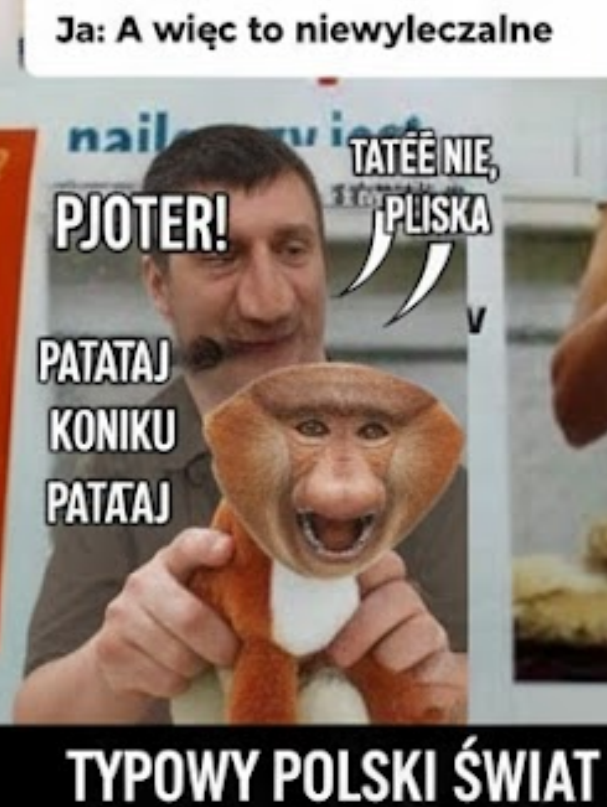 Dzieło sztuki #14008