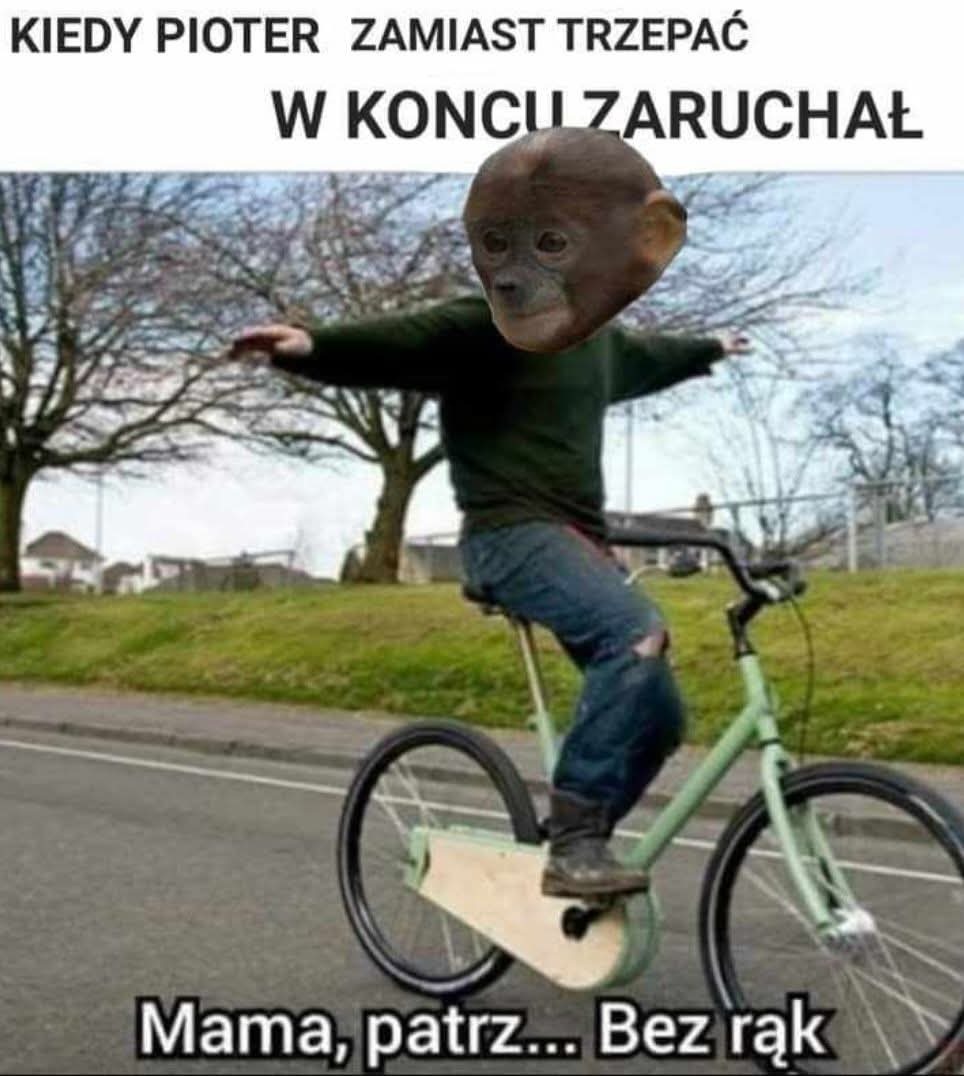Dzieło sztuki #14016