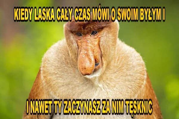 Dzieło sztuki #14018