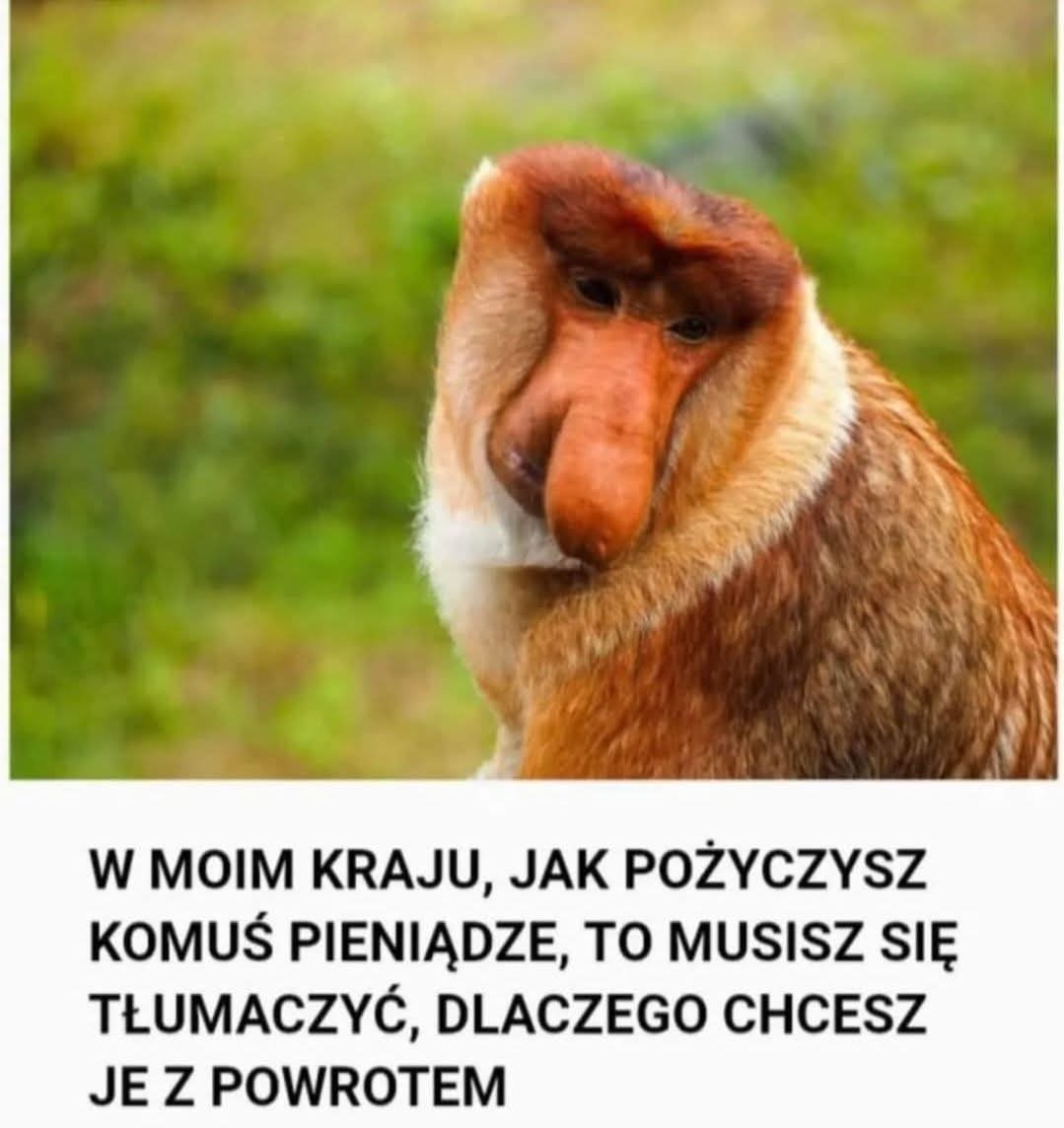 Dzieło sztuki #14019