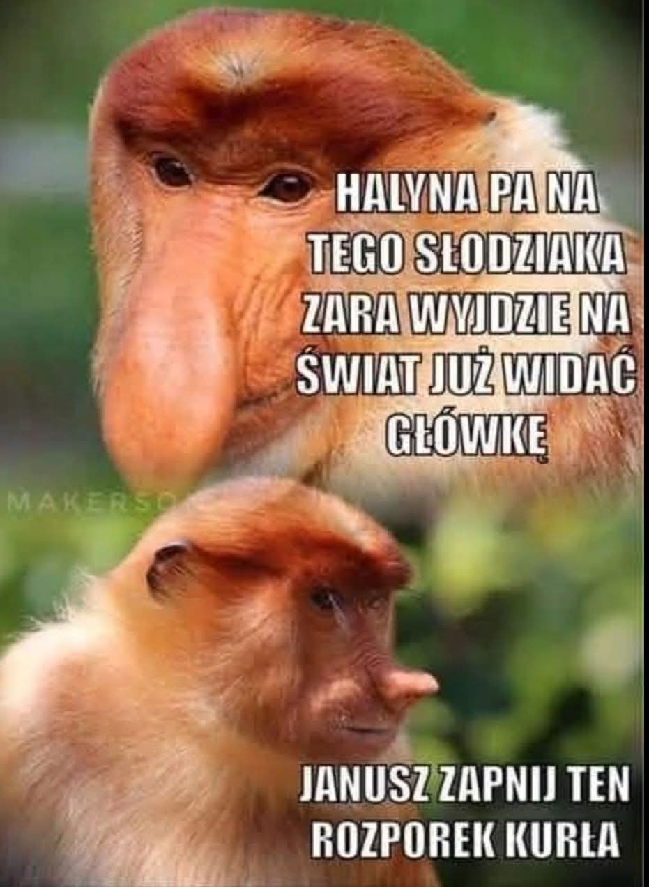 Dzieło sztuki #14020