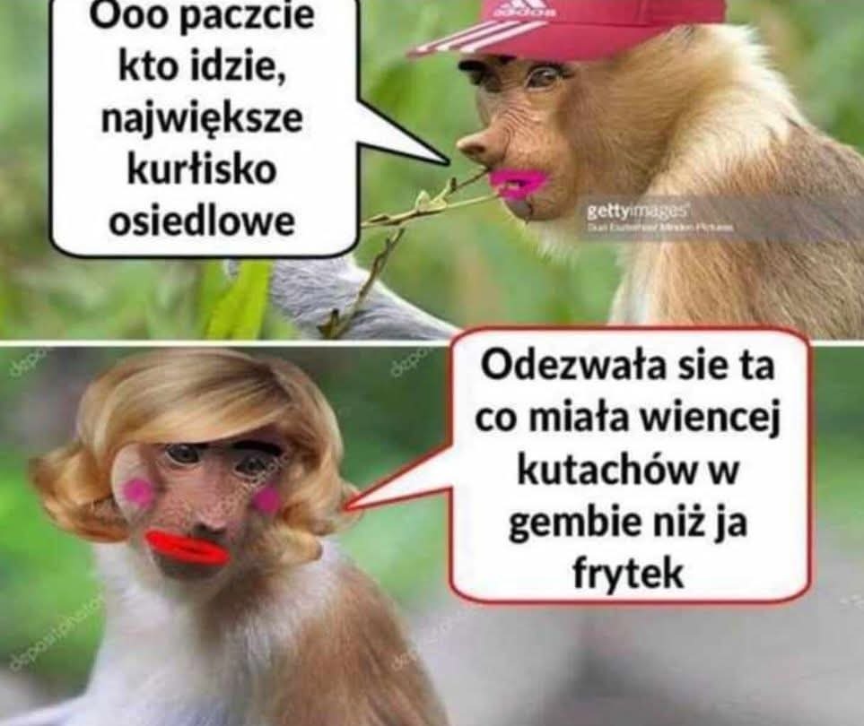 Dzieło sztuki #14022