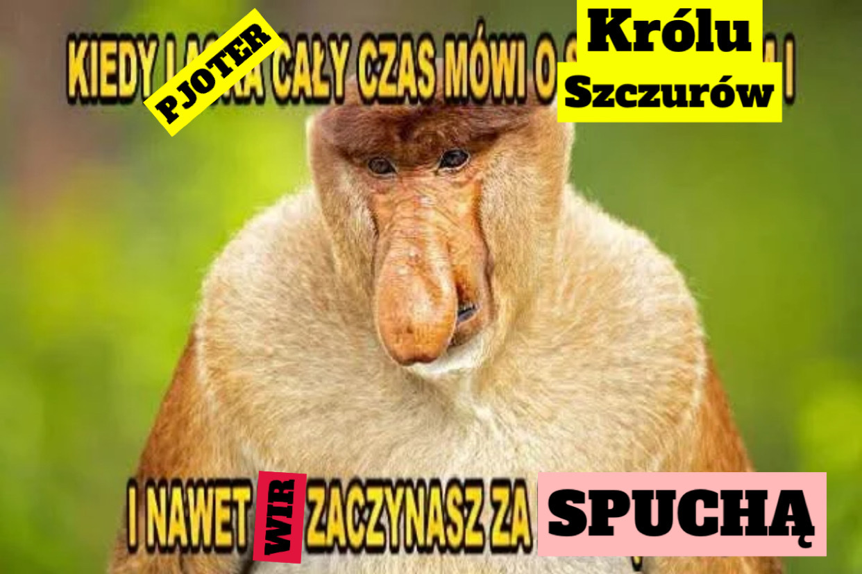 Dzieło sztuki #14029