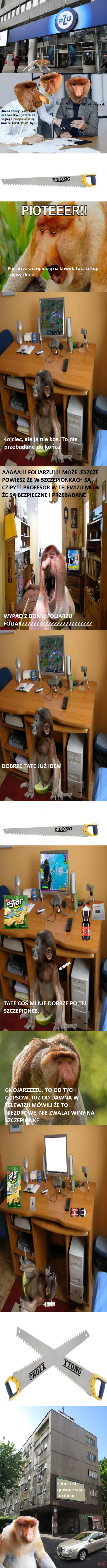Dzieło sztuki #14042