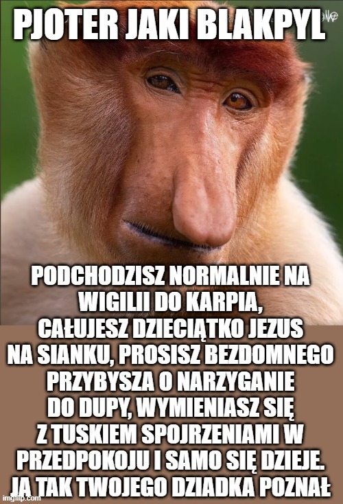 Dzieło sztuki #14054