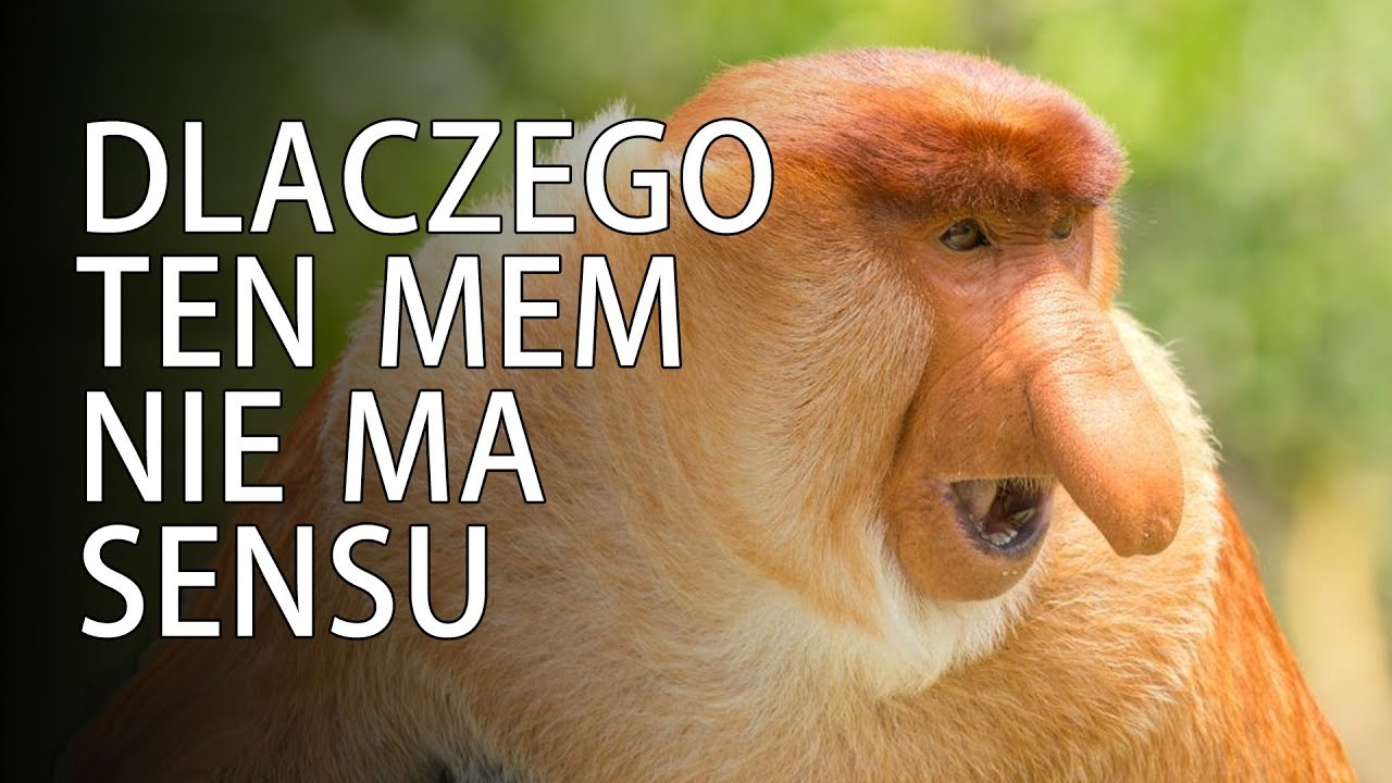 Dzieło sztuki #14058
