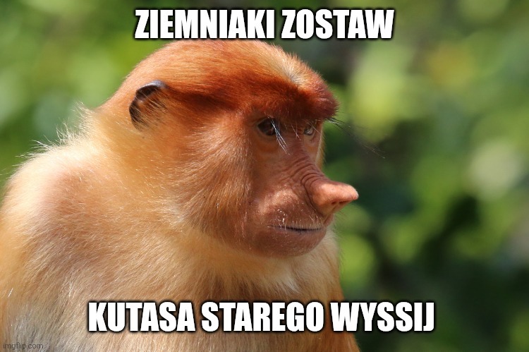 Dzieło sztuki #14077