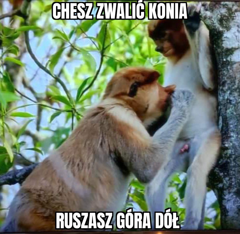 Dzieło sztuki #14086