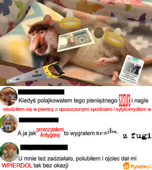 Dzieło sztuki #14091