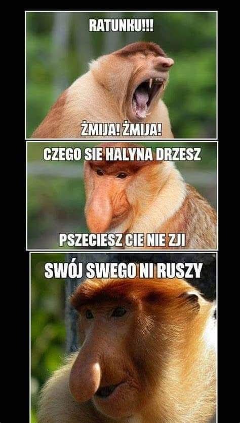 Dzieło sztuki #14092