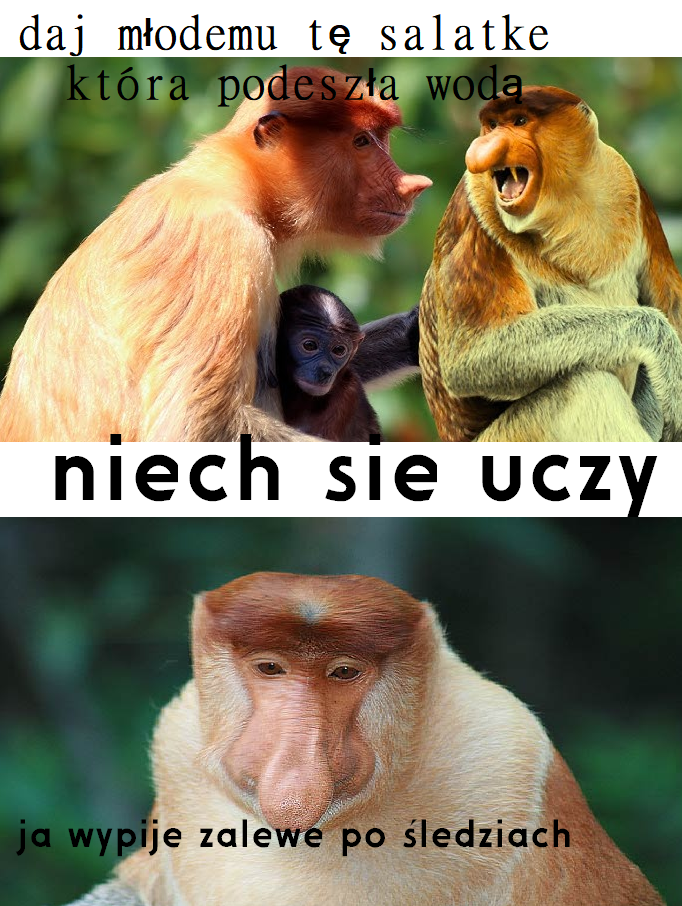 Dzieło sztuki #14109