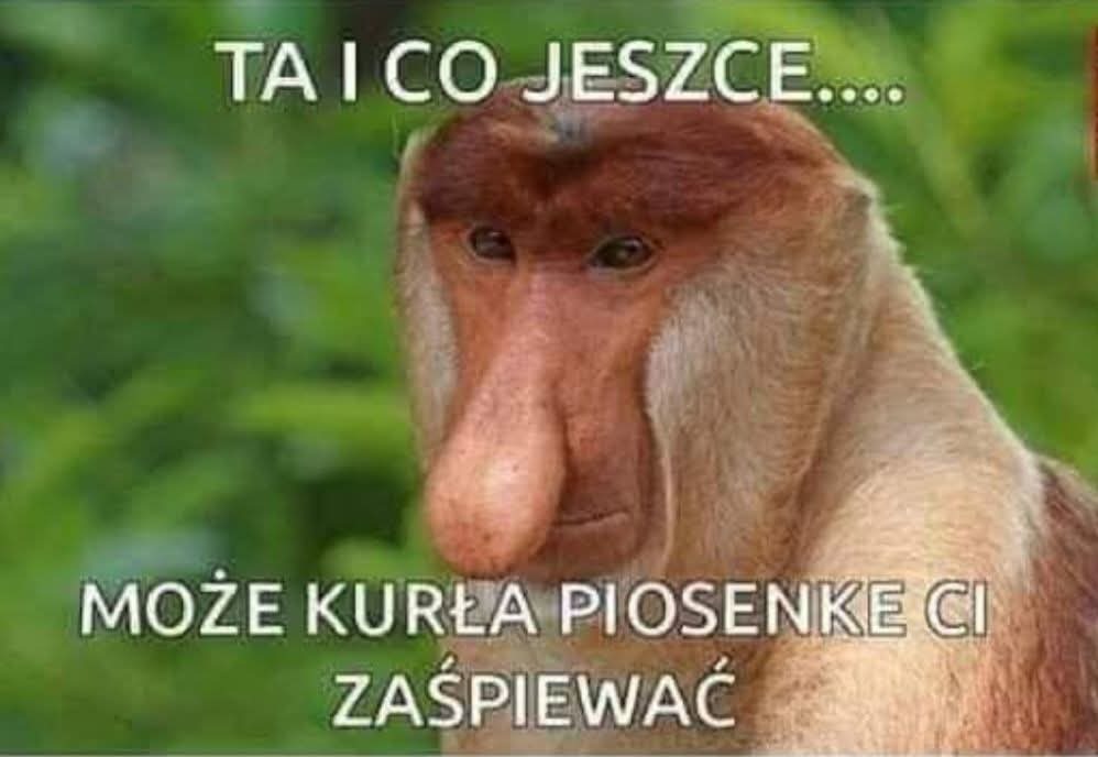 Dzieło sztuki #14111