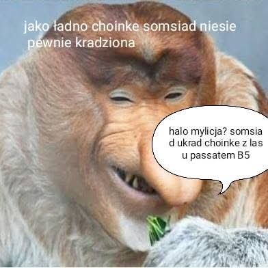 Dzieło sztuki #14112
