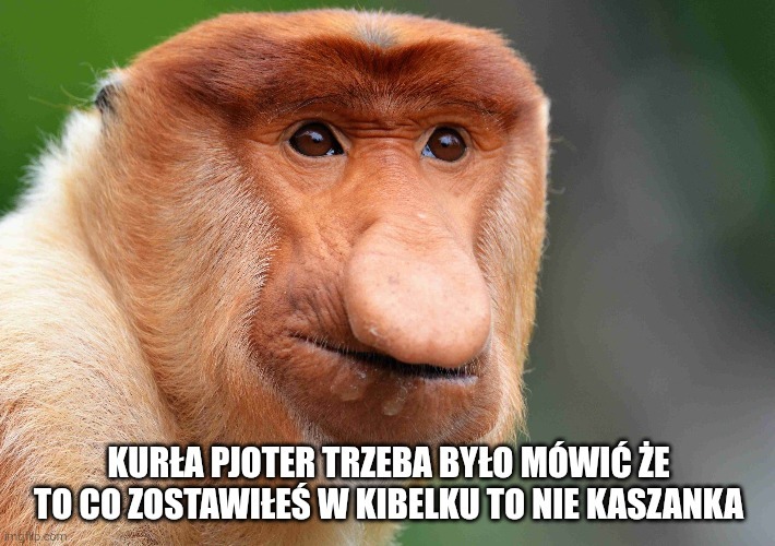 Dzieło sztuki #14117