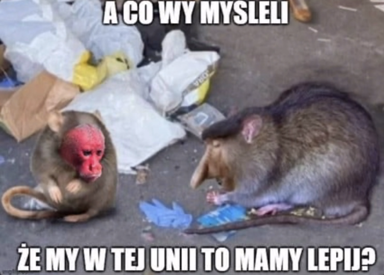 Dzieło sztuki #14143
