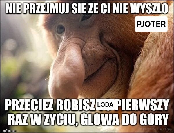 Dzieło sztuki #14146