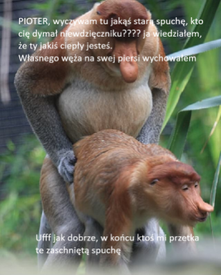 Dzieło sztuki #14149