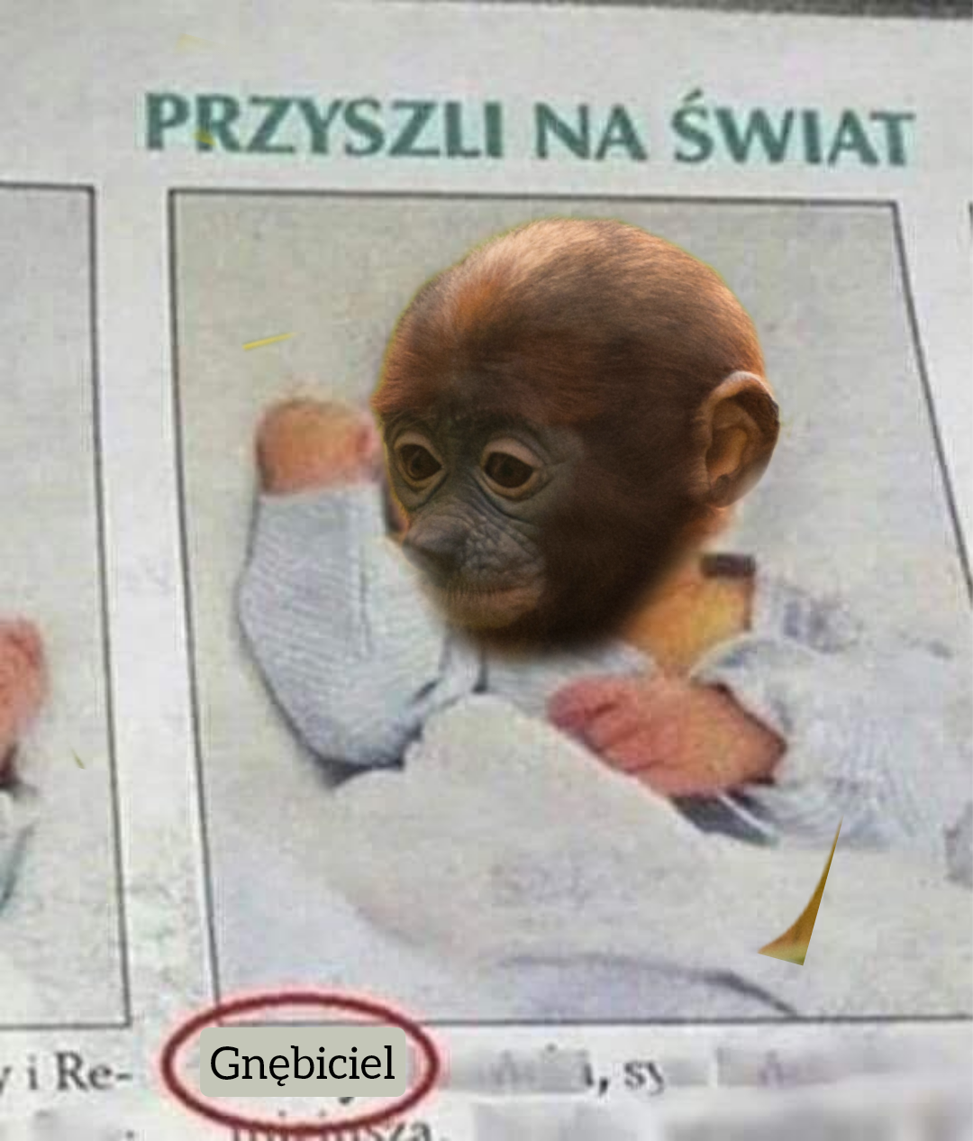 Dzieło sztuki #14165