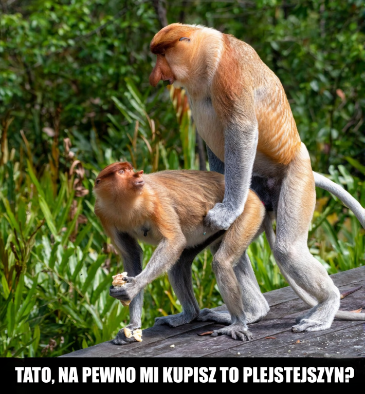 Dzieło sztuki #14174